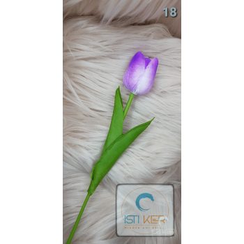 Tulipán fehér/ lila felül