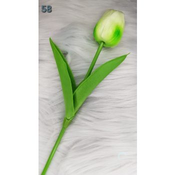 Tulipán zöld/ fehér