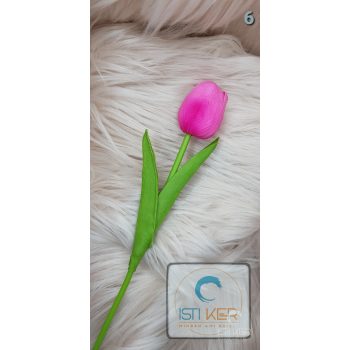 Tulipán ciklámen foltos