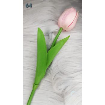 Tulipán fehér/ púder