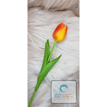 Tulipán sárga/piros